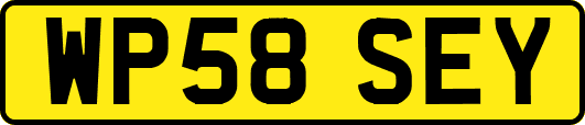 WP58SEY