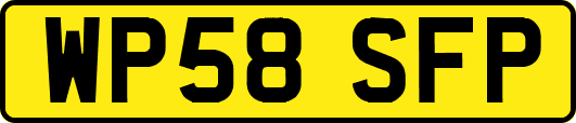 WP58SFP
