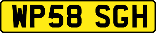 WP58SGH
