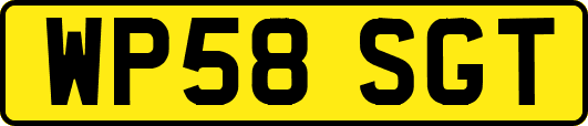 WP58SGT