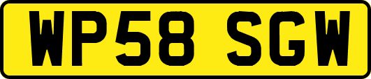 WP58SGW