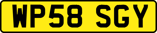 WP58SGY