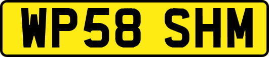 WP58SHM