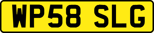 WP58SLG