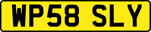 WP58SLY