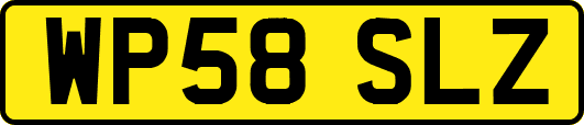 WP58SLZ