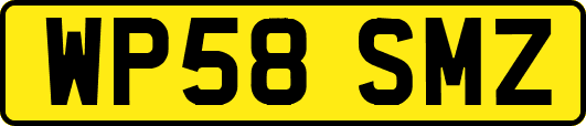 WP58SMZ
