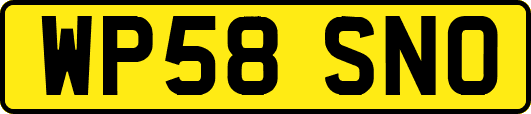 WP58SNO