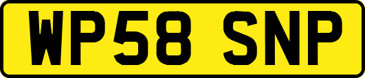 WP58SNP