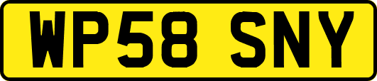 WP58SNY