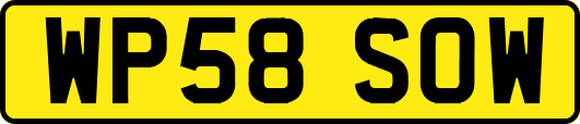 WP58SOW