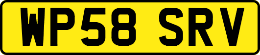 WP58SRV
