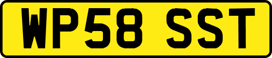 WP58SST