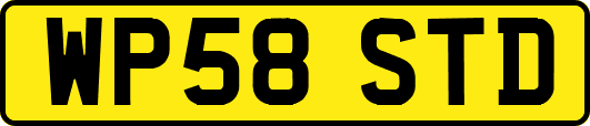 WP58STD