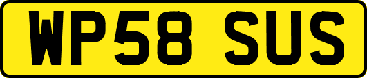 WP58SUS