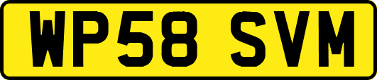 WP58SVM