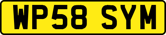 WP58SYM