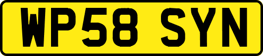 WP58SYN