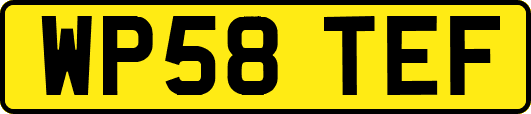 WP58TEF