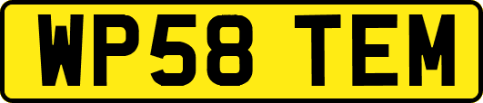 WP58TEM