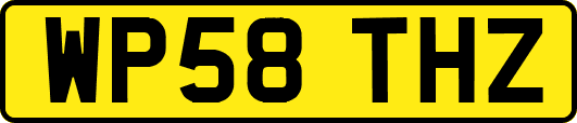 WP58THZ