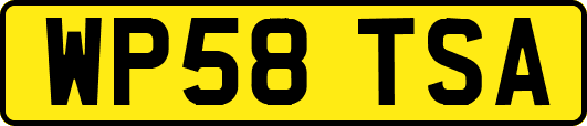 WP58TSA