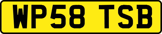 WP58TSB