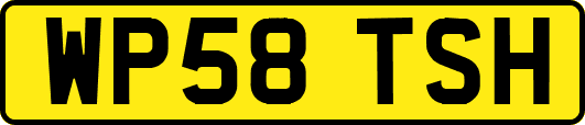 WP58TSH