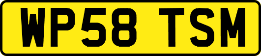 WP58TSM