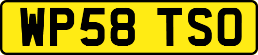WP58TSO