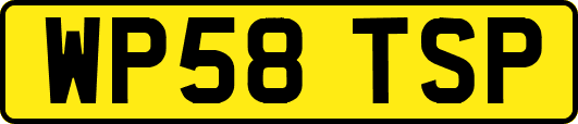 WP58TSP