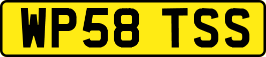 WP58TSS