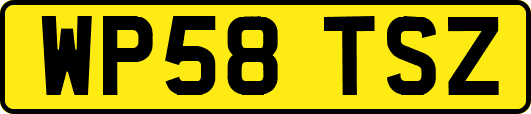WP58TSZ