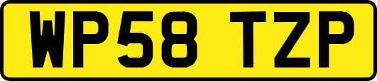 WP58TZP