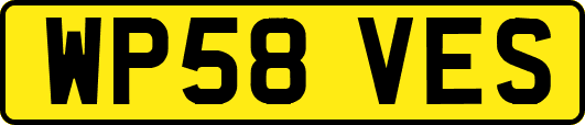 WP58VES