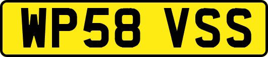 WP58VSS