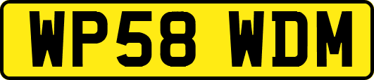 WP58WDM