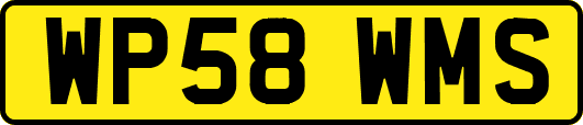 WP58WMS