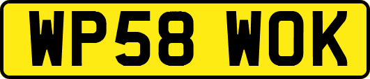 WP58WOK