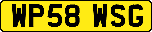 WP58WSG