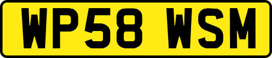 WP58WSM
