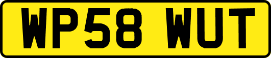 WP58WUT