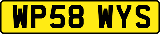 WP58WYS