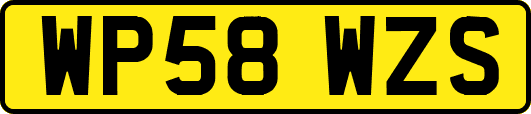 WP58WZS