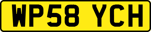 WP58YCH