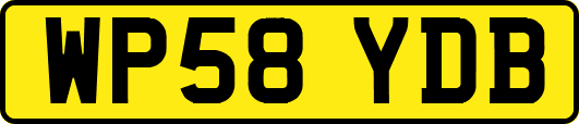 WP58YDB