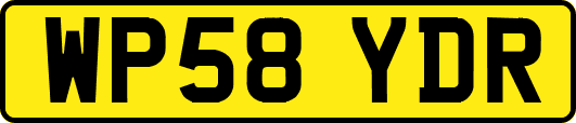 WP58YDR