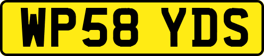 WP58YDS