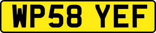 WP58YEF