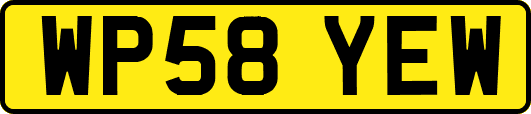 WP58YEW